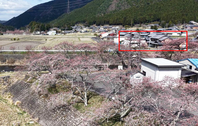 住戸からの眺望／２Ｆ納戸の窓からは鮎河の桜並木が一望できます。