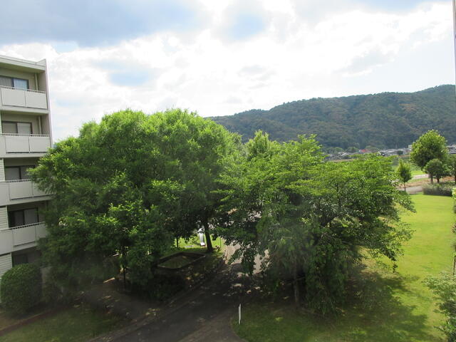 住戸からの眺望／この眺めが何気ない日常に彩りを与えます／撮影日2025-06-15