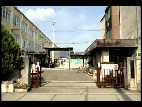 京都市立葵小学校 (516m)