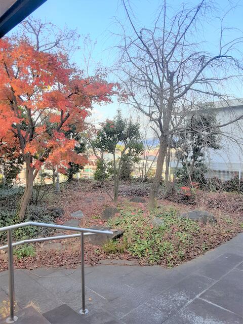 detached 京都府京田辺市松井ケ丘１丁目