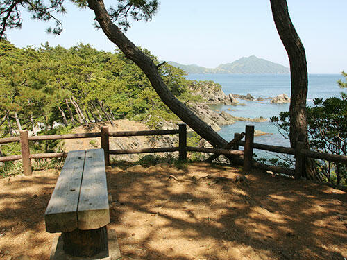 城山公園（高浜城跡） (1,086m)