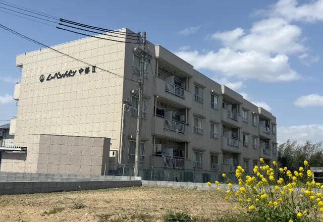 現地（外観）