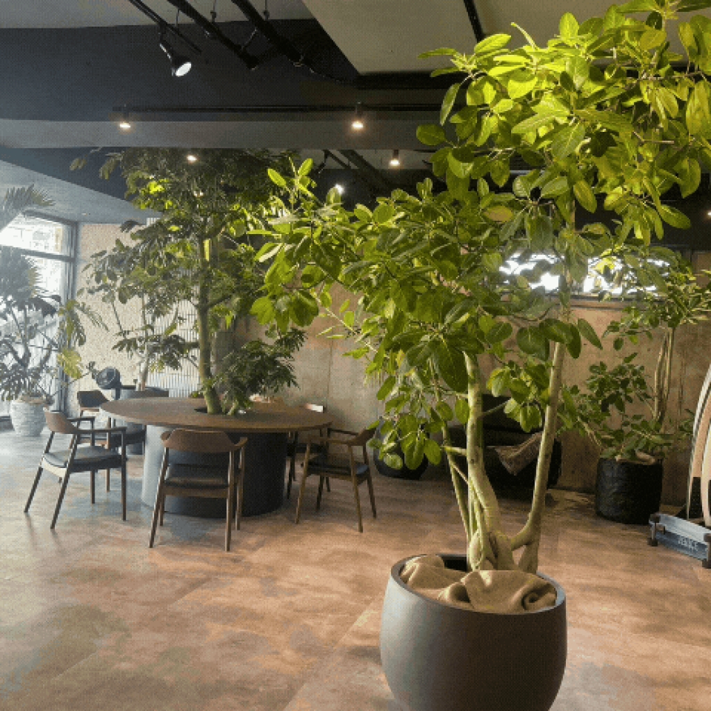 情報提供会社