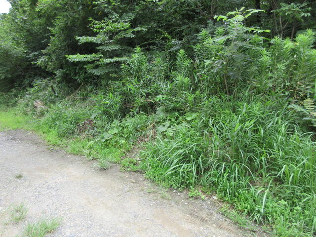 【不動産ジャパン】物件詳細:滋賀県甲賀市甲賀町油日/油日駅の物件情報:売地