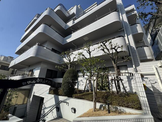 現地（外観）