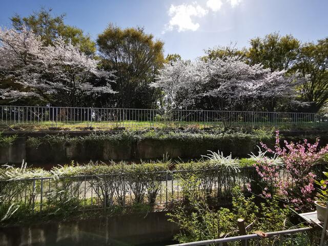 住戸からの眺望
