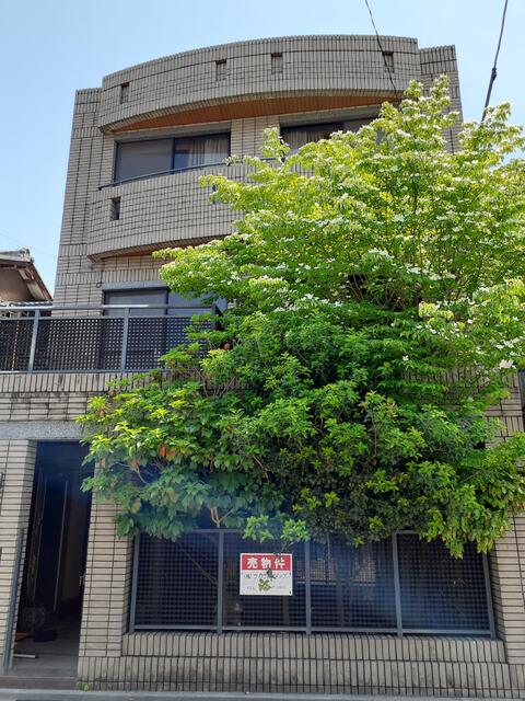 townhouse 岐阜県岐阜市京町１丁目