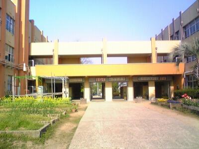 和泉市立緑ヶ丘小学校 (1,198m)