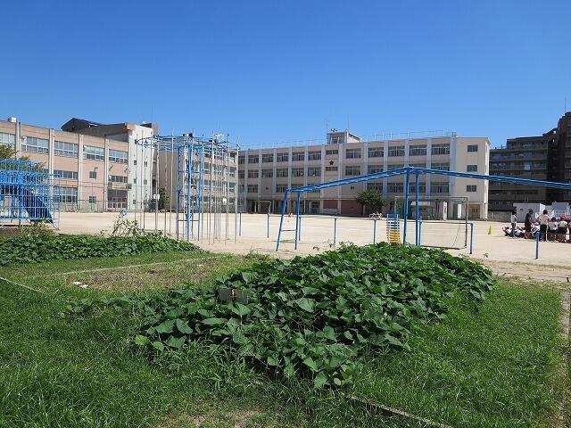 大阪市立巽東小学校 (330m)
