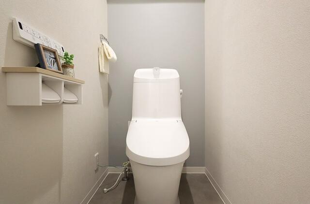 トイレ／便器・温水洗浄便座新調しました。（ペーパーホルダー・タオル掛