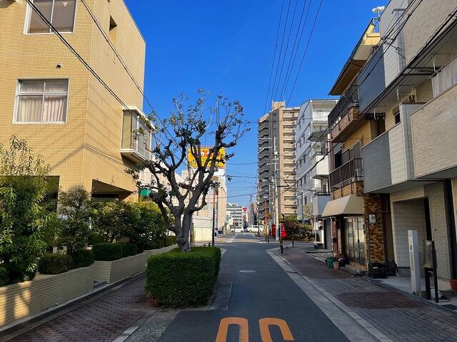 前面道路は歩道付きの広々とした公道約８ｍです。