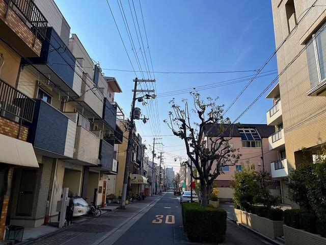 前面道路は歩道付きの広々とした公道約８ｍです。