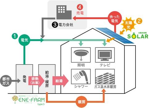 detached 大阪府八尾市跡部本町２丁目 地図を見る