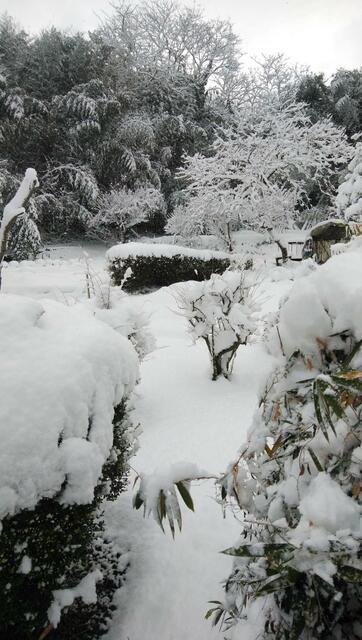 detached 広島県庄原市西本町１丁目