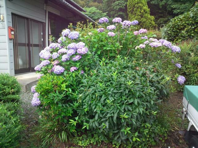 detached 広島県庄原市西本町１丁目