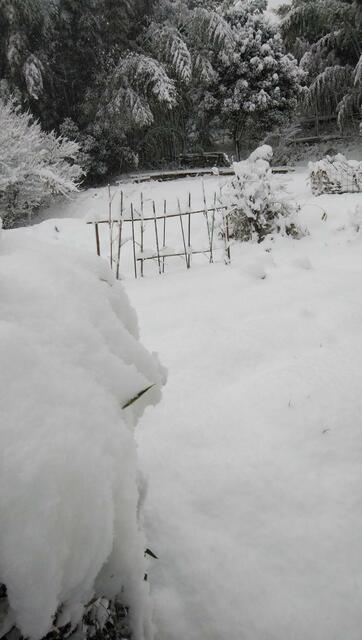 detached 広島県庄原市西本町１丁目
