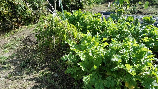detached 広島県庄原市西本町１丁目