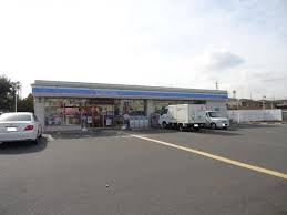 ローソン岩室店 (980m)