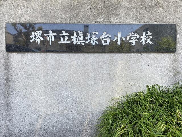 堺市立槇塚台小学校 (800m)