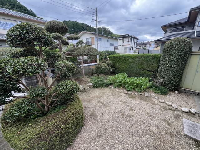 庭／撮影日2025-10-28