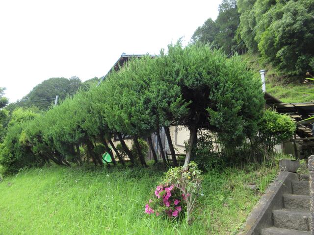 detached 京都府相楽郡笠置町大字切山小字草畑 地図を見る