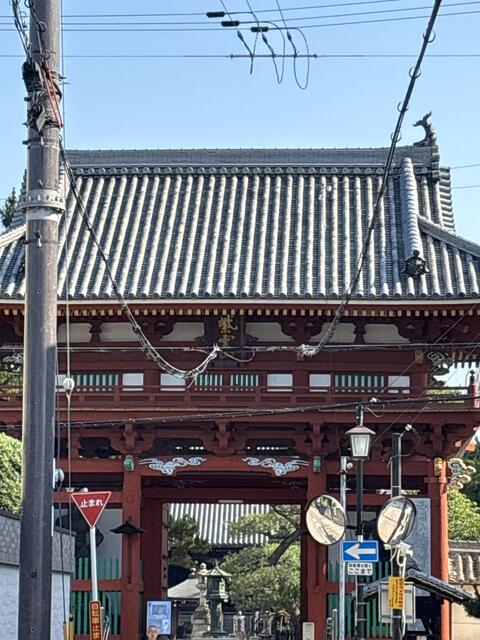 葛井寺 (718m)