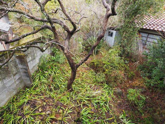detached 兵庫県丹波篠山市東浜谷