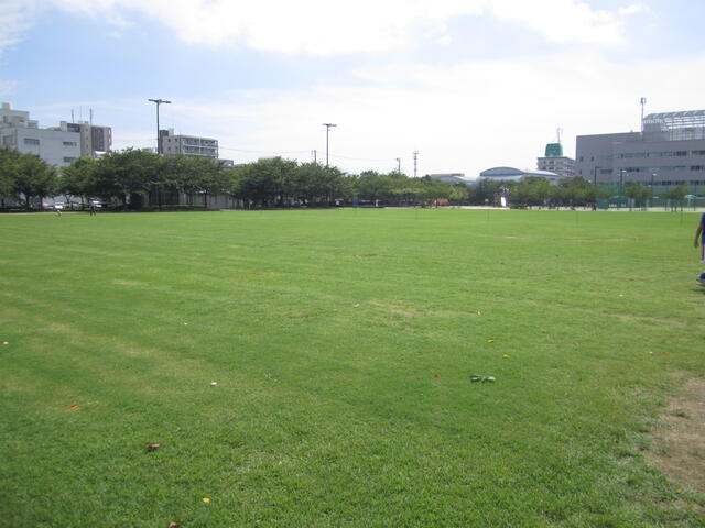 神戸ウイングスタジアム芝生広場 (959m)