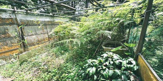detached 兵庫県川辺郡猪名川町杤原字村上