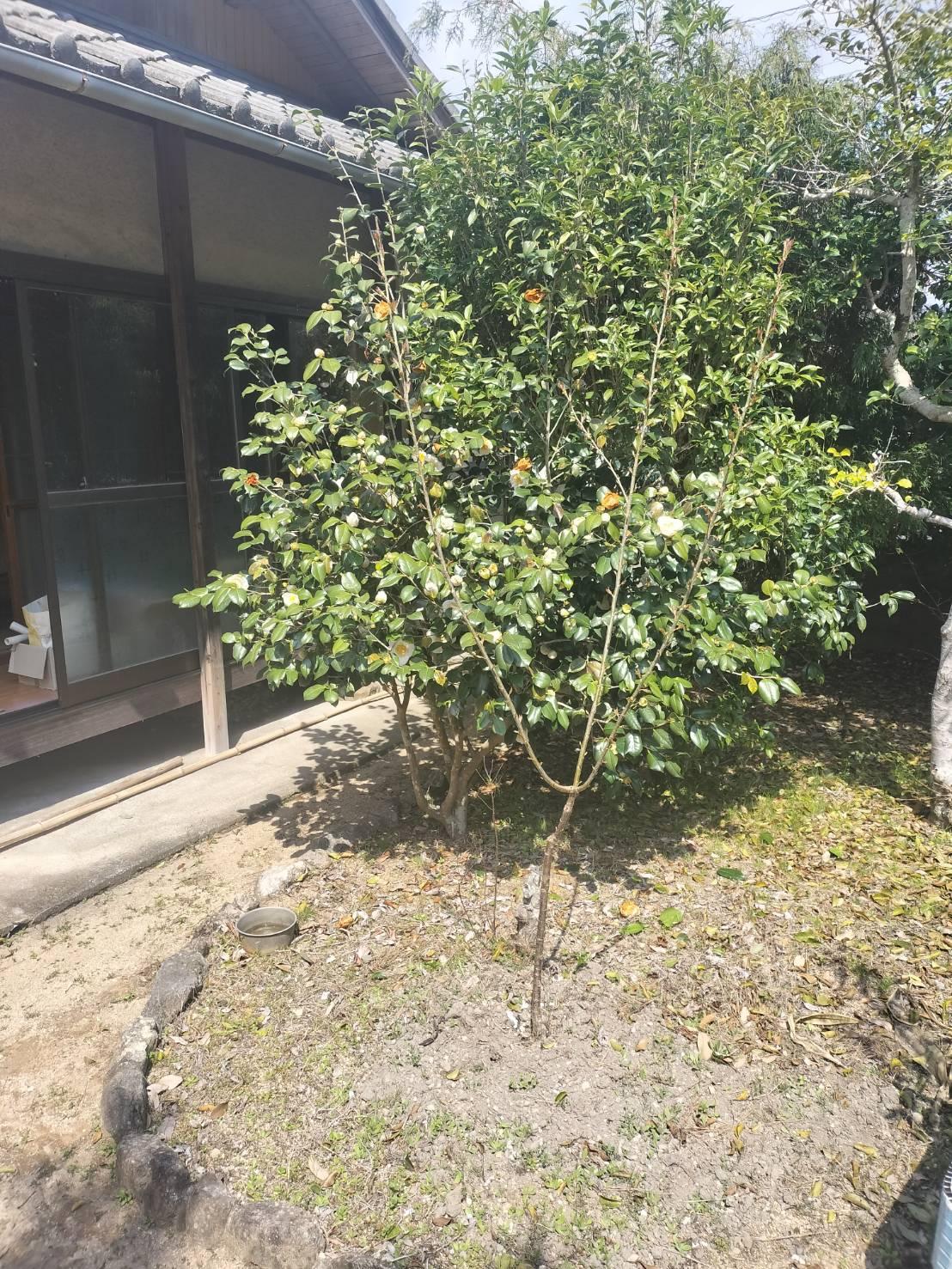 detached 岡山県備前市吉永町都留岐 地図を見る