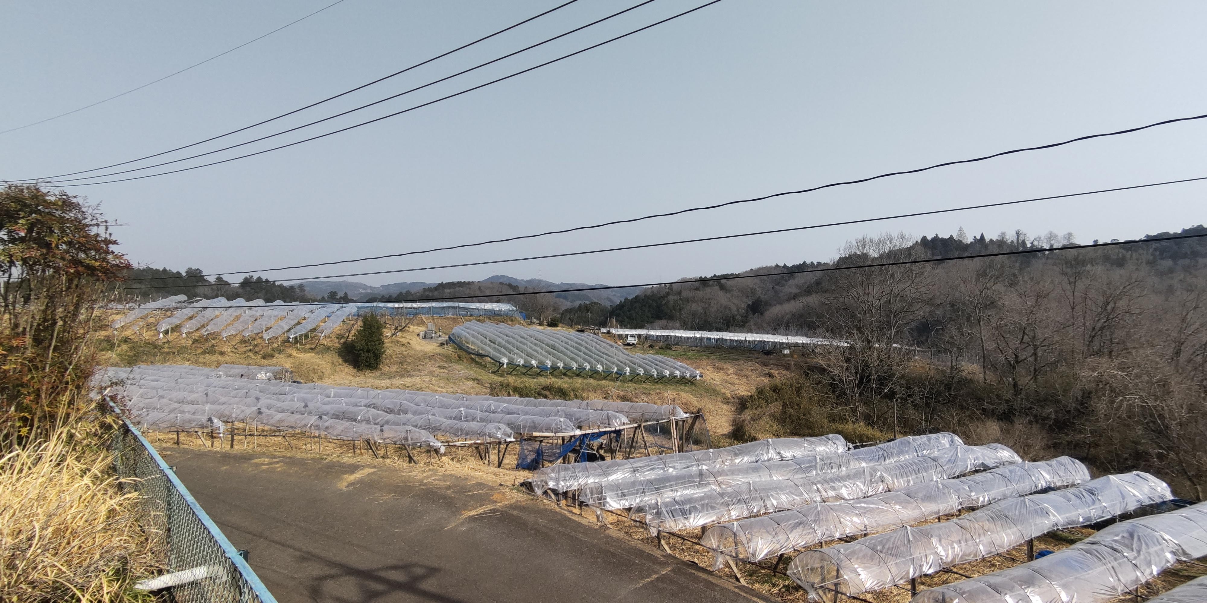 detached 岡山県久米郡久米南町山手 地図を見る