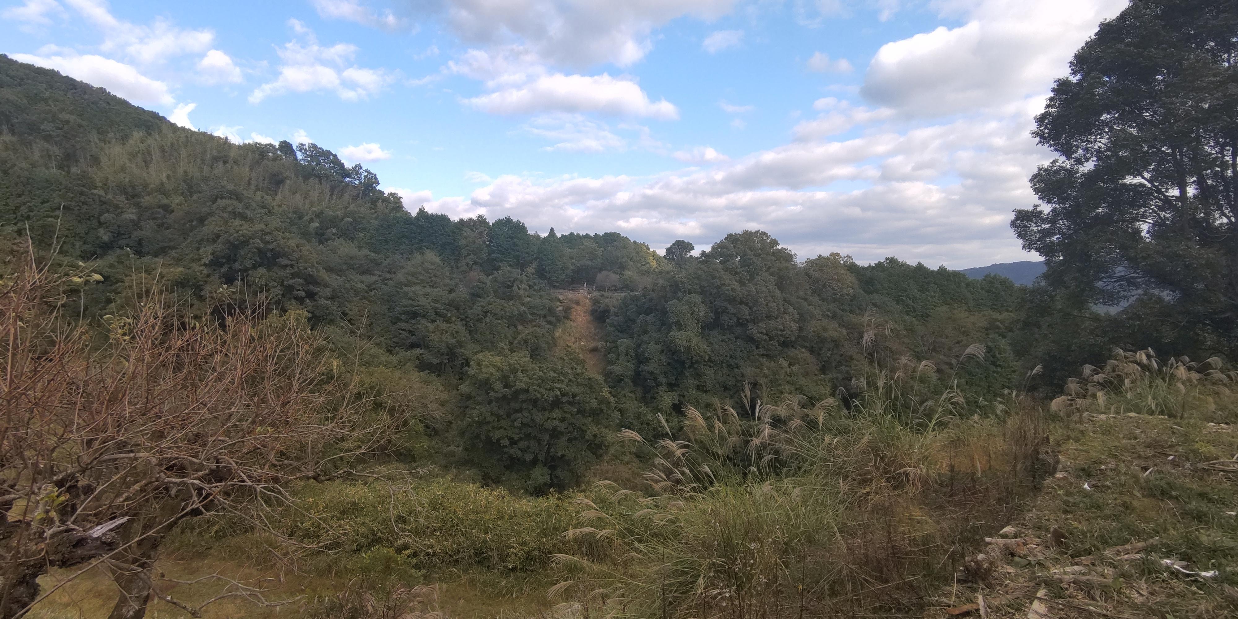 detached 岡山県和気郡和気町木倉 地図を見る
