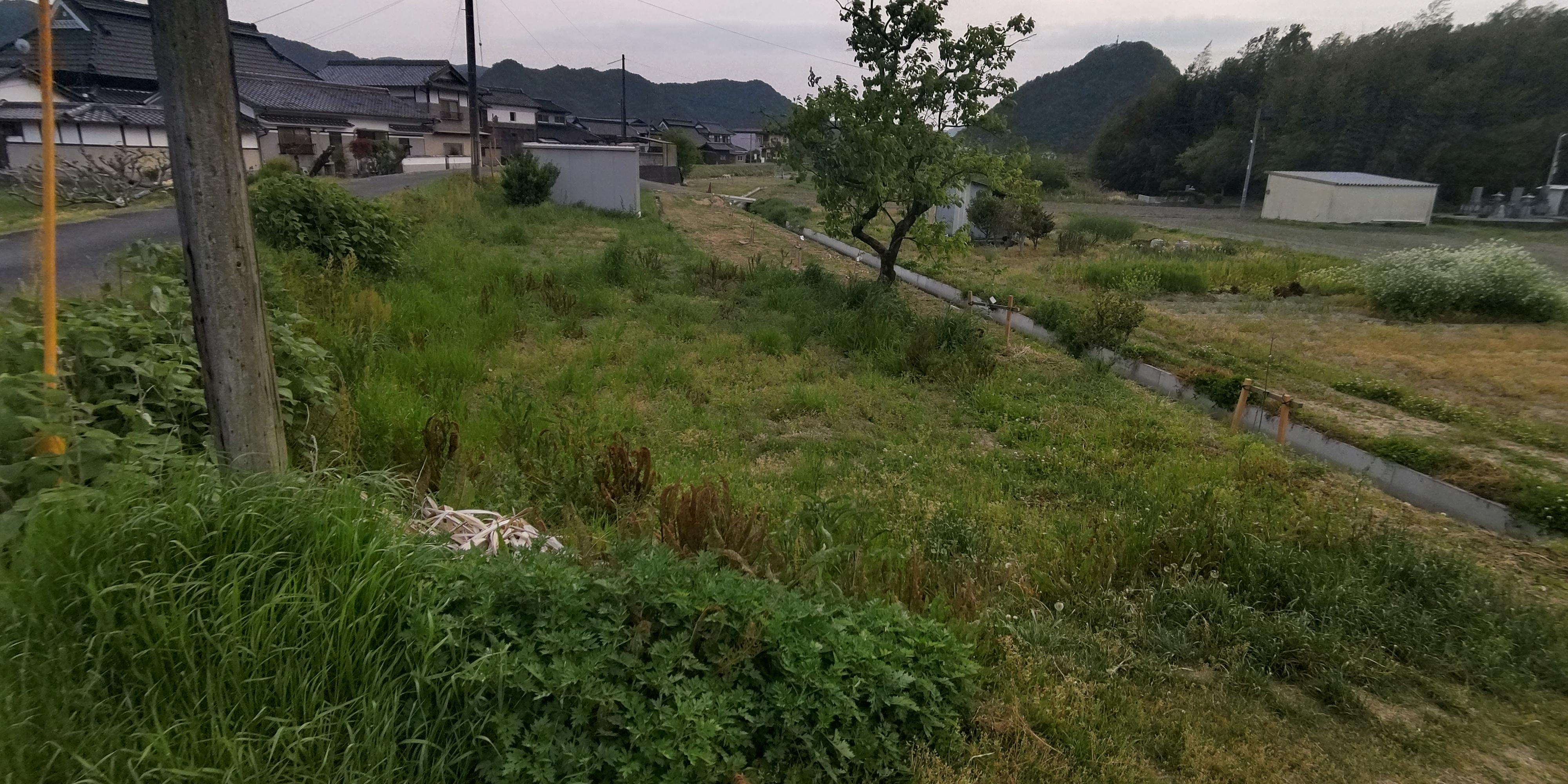 detached 岡山県和気郡和気町尺所 地図を見る