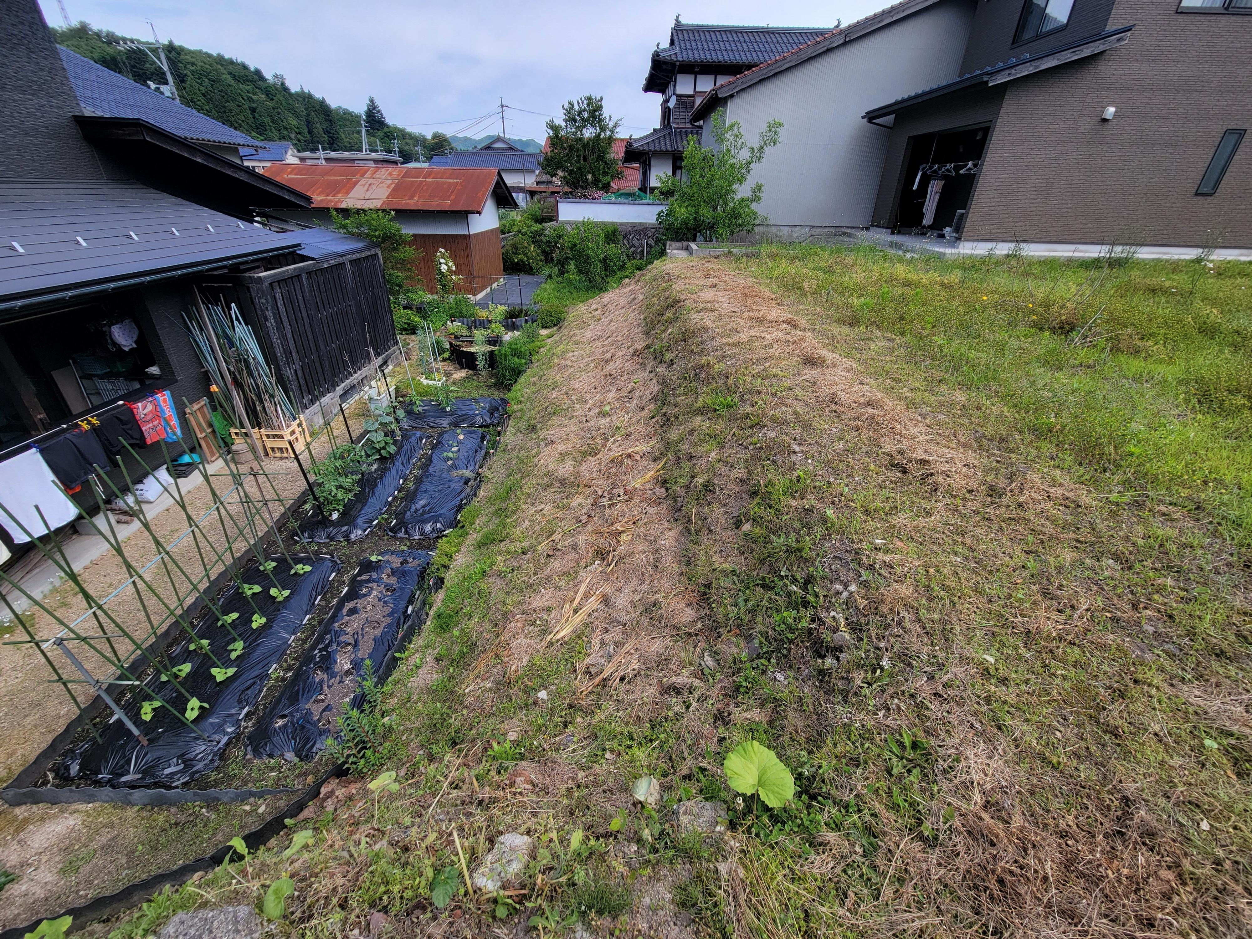 現地土地