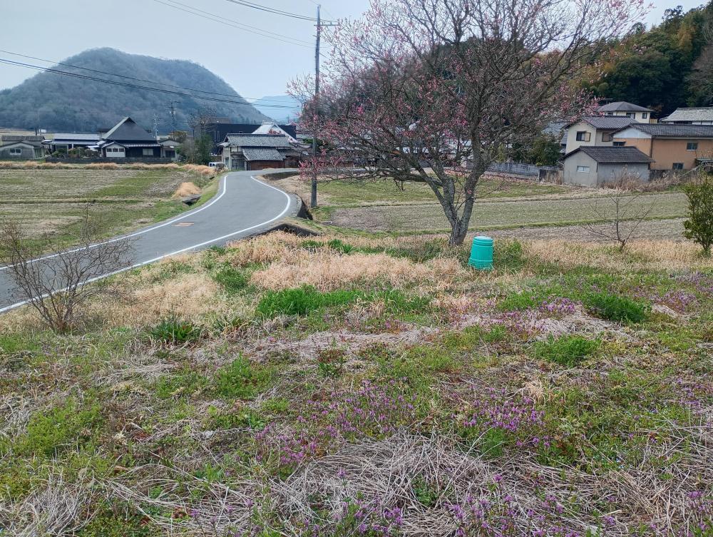 detached 岡山県赤磐市東軽部