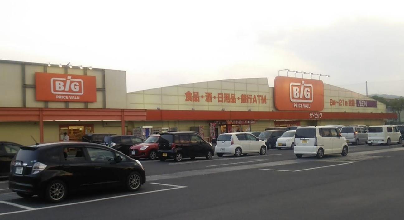 ザ・ビッグ　鴨方店 (1,600m)