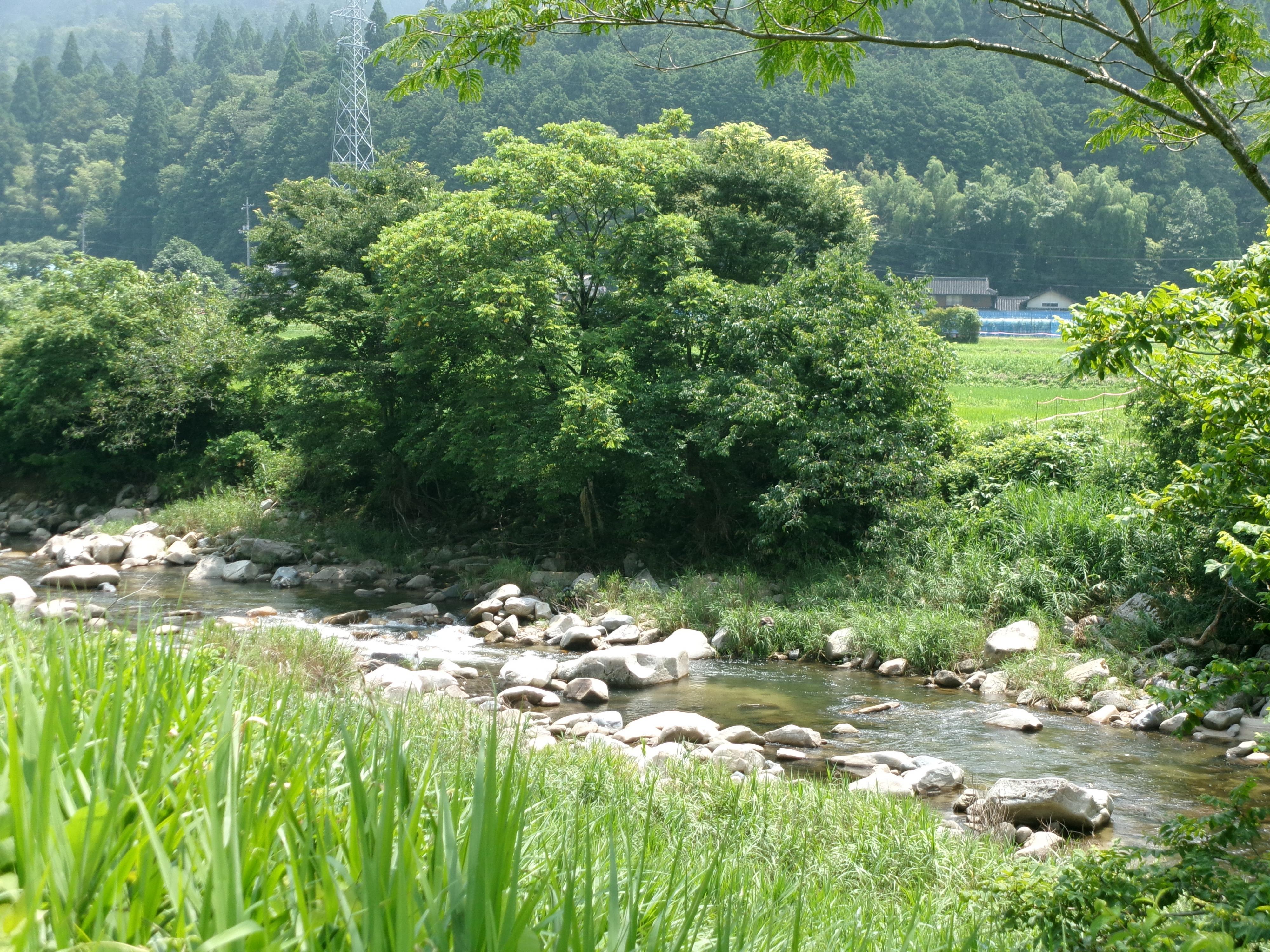 detached 岡山県苫田郡鏡野町奥津川西 地図を見る