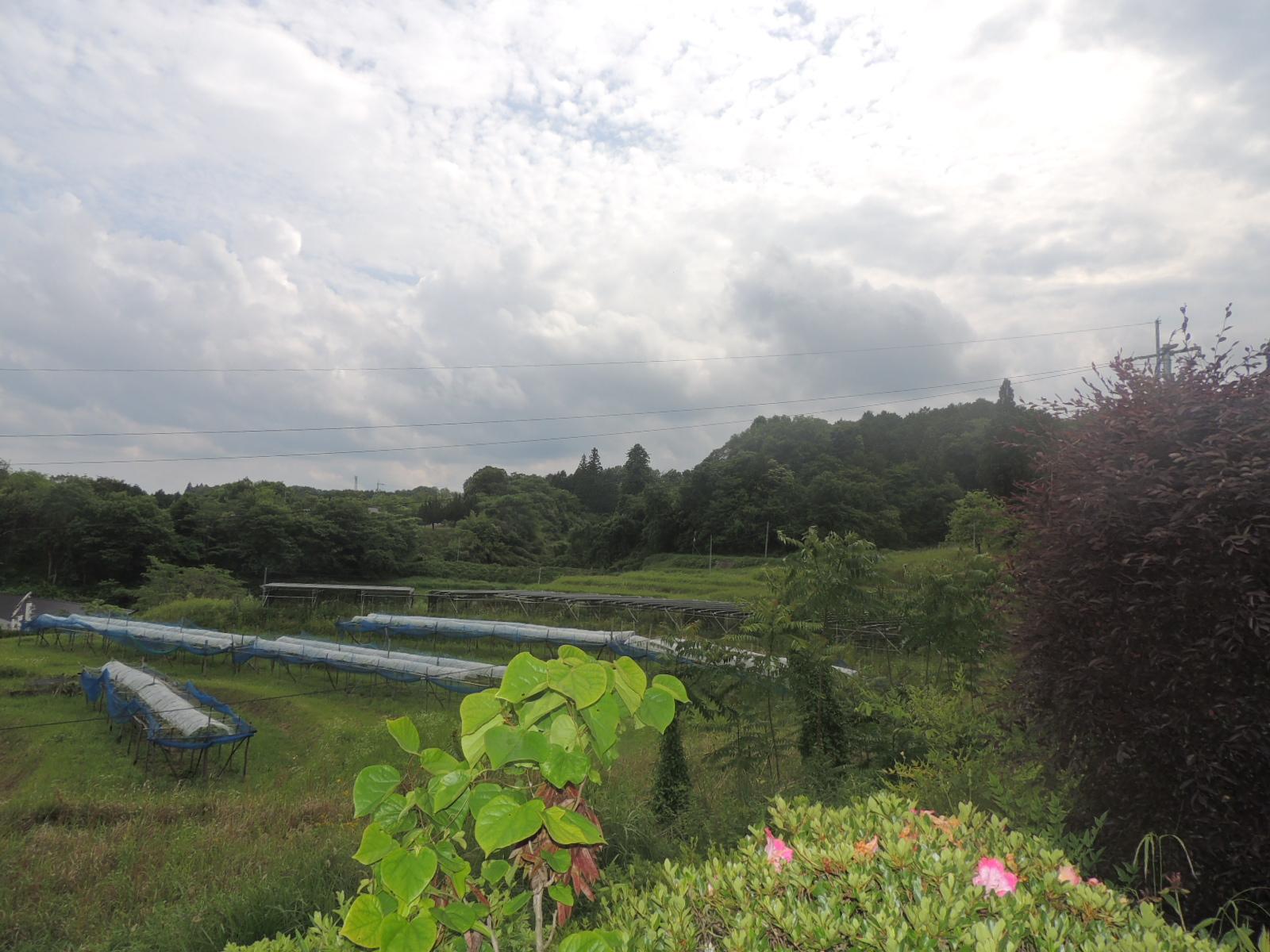 detached 岡山県久米郡美咲町東垪和 地図を見る