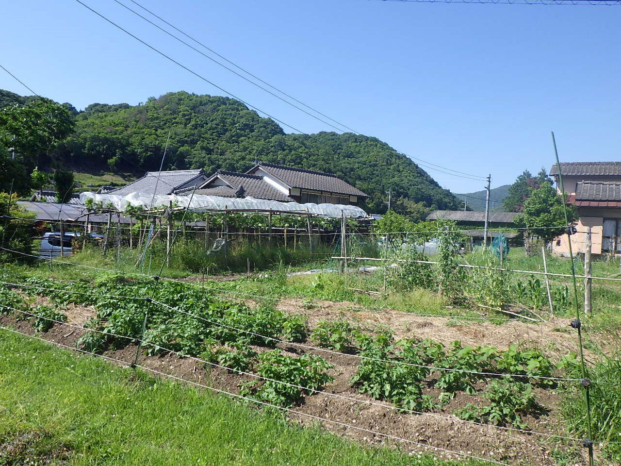 detached 岡山県赤磐市沢原