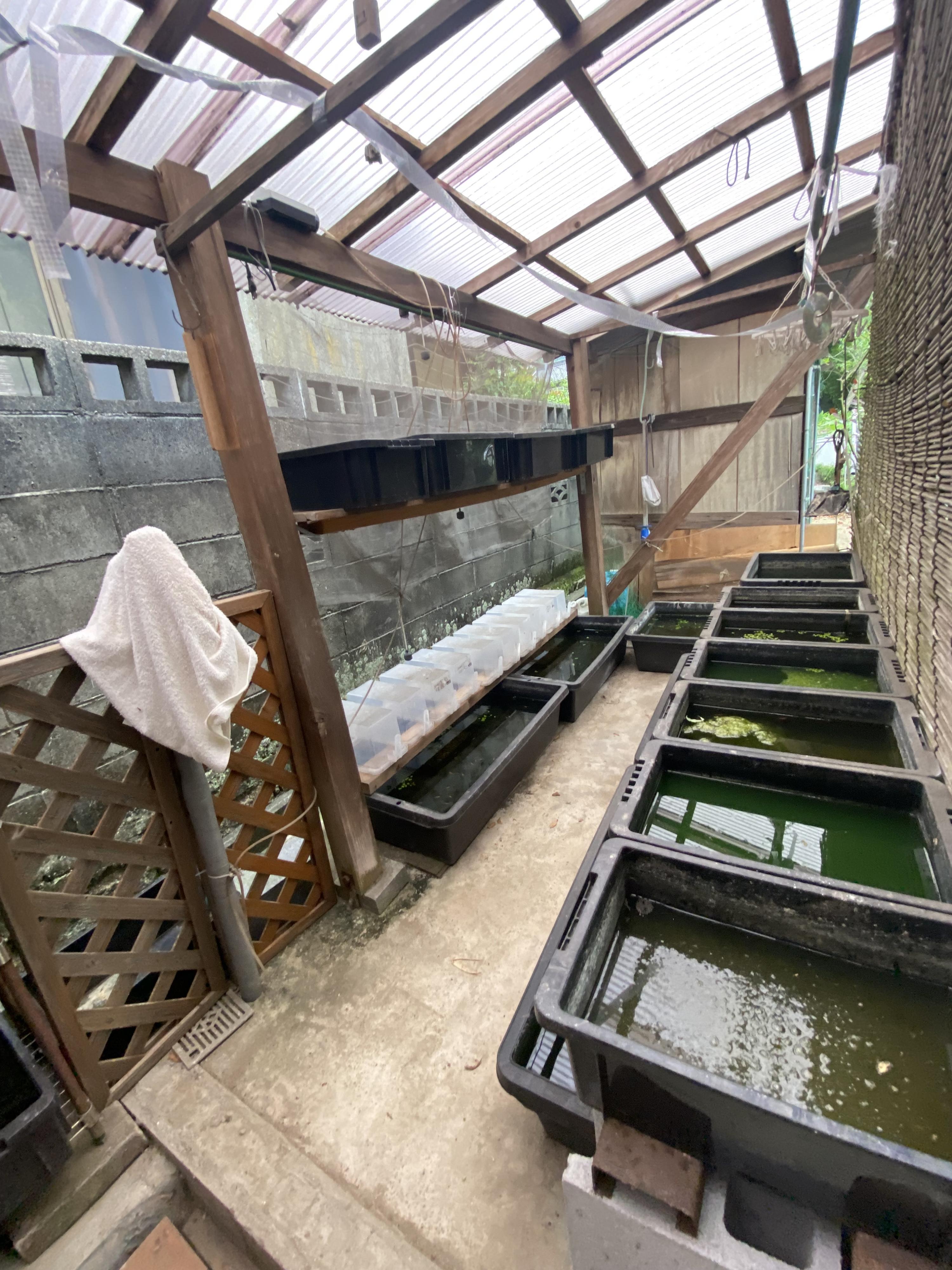 detached 岡山県笠岡市西大島 地図を見る