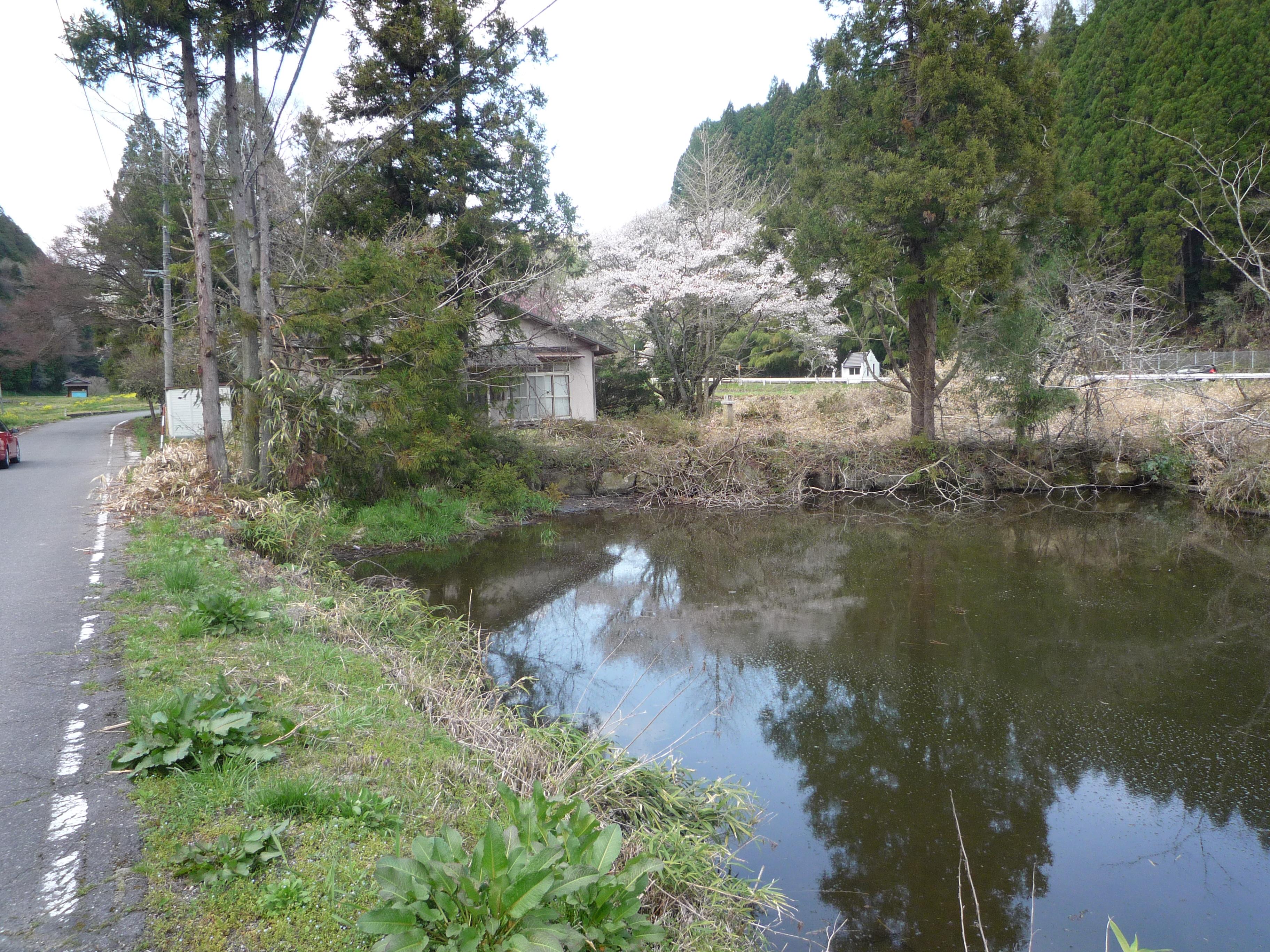 detached 岡山県真庭郡新庄村大所 地図を見る