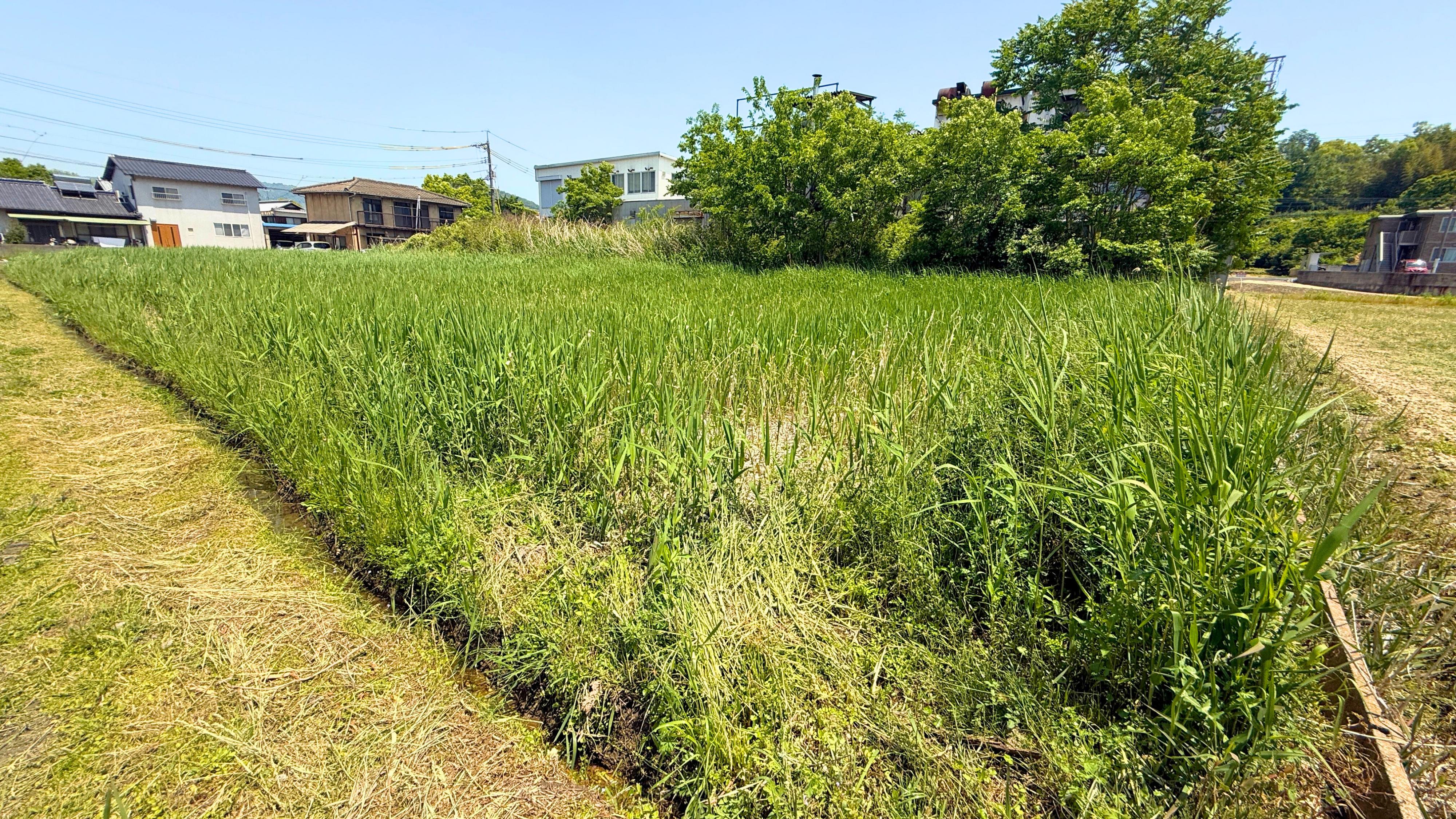 ハトマークサイト】岡山県浅口市の売地の検索結果