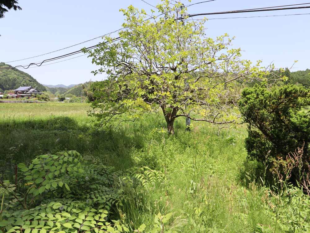 detached 岡山県真庭市粟谷 地図を見る