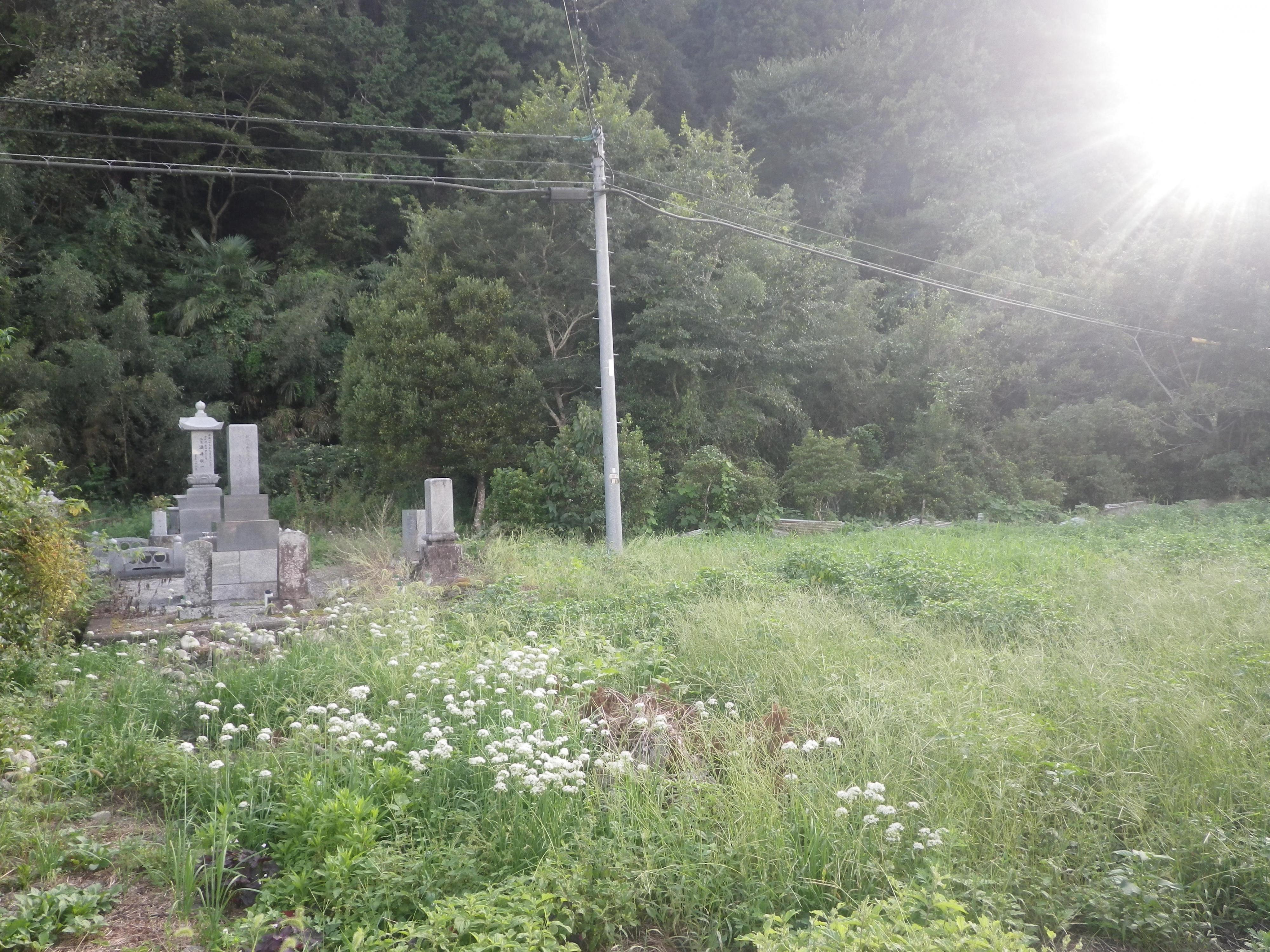 detached 岡山県真庭市向津矢 地図を見る