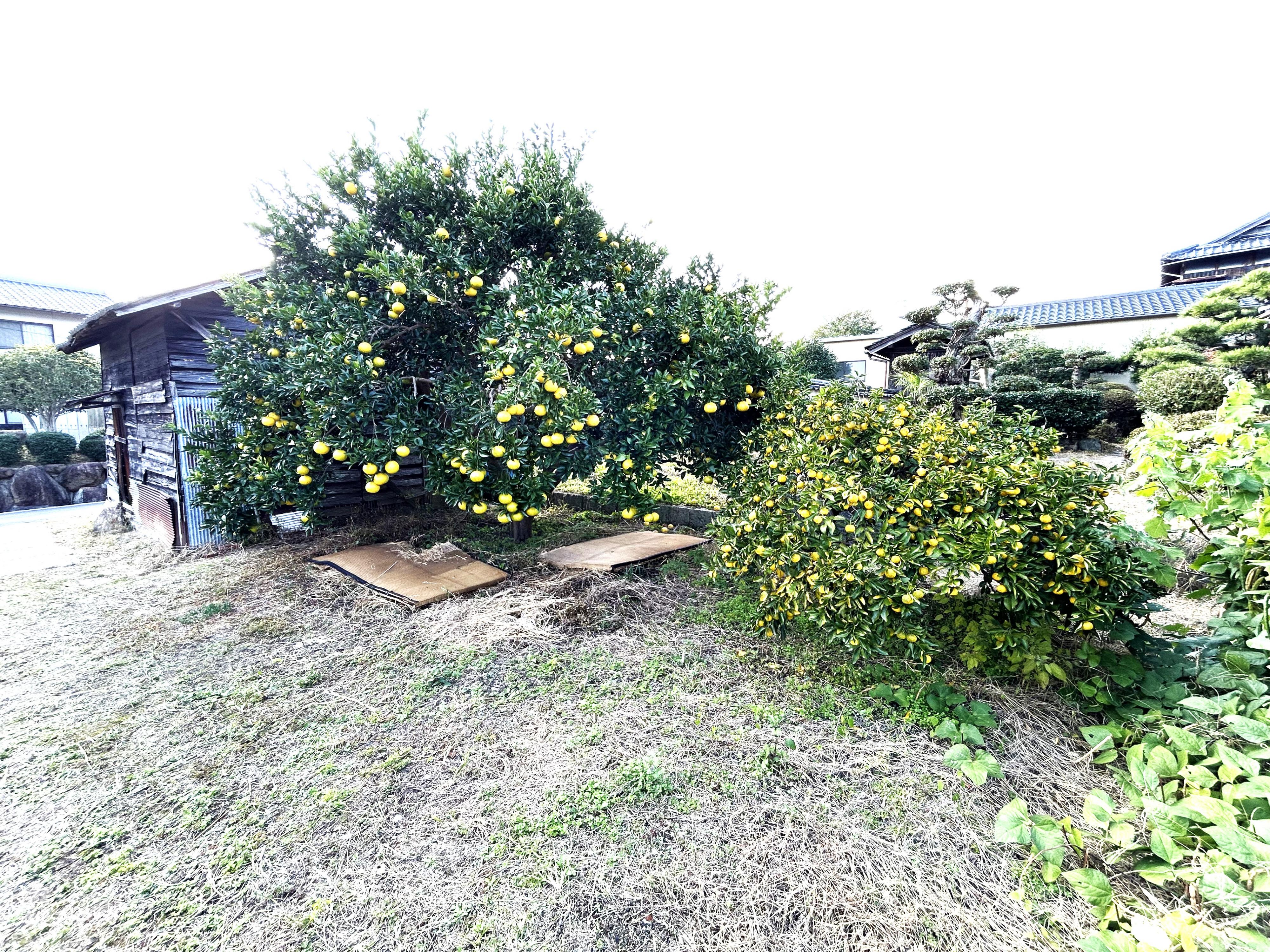 detached 岡山県玉野市北方 地図を見る