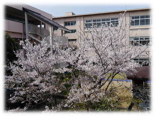 金光小学校 (850m)