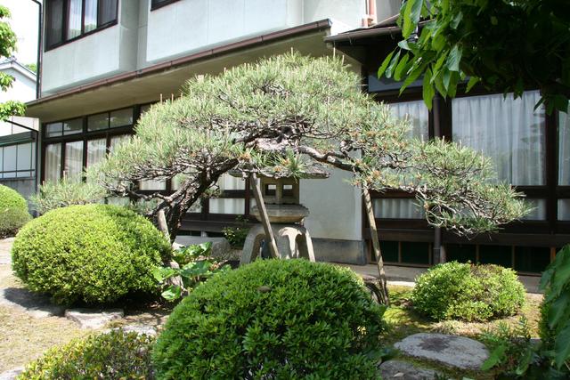 広島県福山市の一戸建て | 900万円 | 16LDK | 1356m² | Akiyama house finder