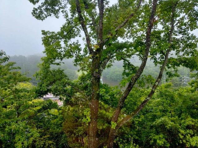 detached 広島県神石郡神石高原町時安 地図を見る