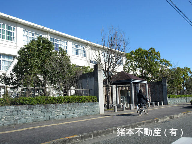 徳島市立城東中学校 (1,050m)