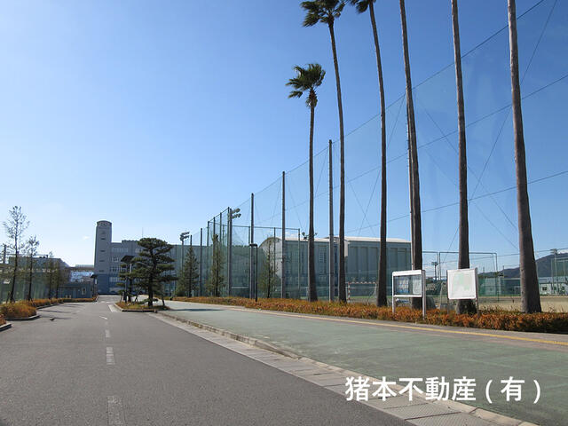 徳島市立高校 (507m)